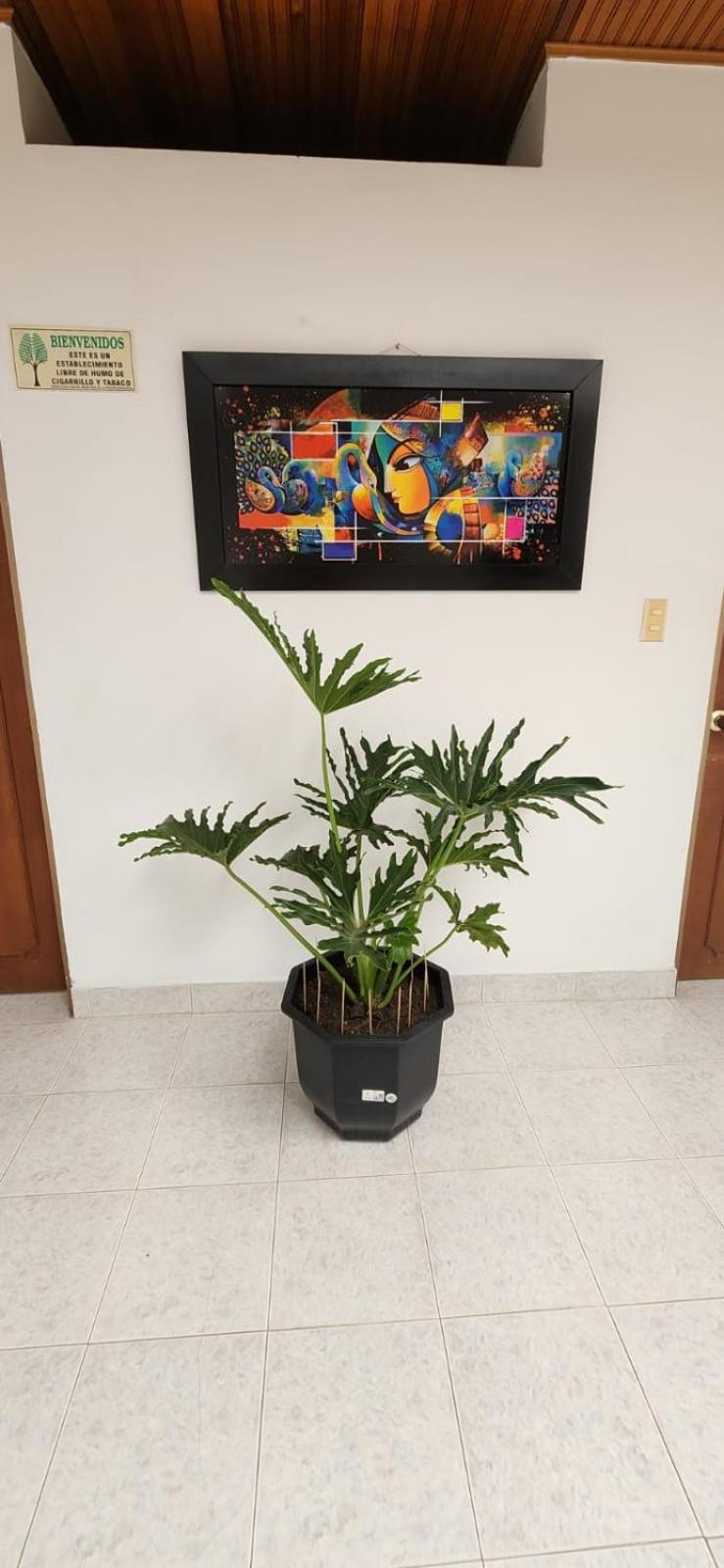 Luna Verde Hotel Neiva  Dış mekan fotoğraf
